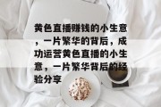 黄色直播赚钱的小生意,一片繁华的背后,成功运营黄色直播的小生意,一片繁华背后的经验分享