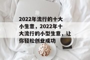 2022年流行的十大小生意,2022年十大流行的小型生意,让你轻松创业成功 2022年流行的十大小生意,2022年十大流行的小型生意,让你轻松创业成功