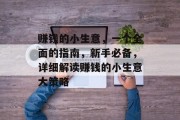 赚钱的小生意,一个全面的指南,新手必备,详细解读赚钱的小生意大策略 赚钱的小生意,一个全面的指南,新手必备,详细解读赚钱的小生意大策略