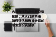 选择合适的小生意投资金额,从入门到精通,如何评估和选择合适的小生意投资金额