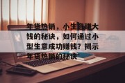 年货热销，小生意赚大钱的秘诀，如何通过小型生意成功赚钱？揭示年货热销的秘诀