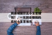 回县城做什么小生意赚钱？，一元创业赚钱的农村小生意推荐