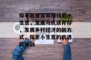 探寻县里容易赚钱的小生意,发展与机遇并存,发展乡村经济的新方式,探索小生意的机遇和挑战