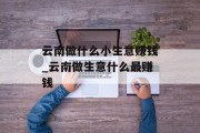 云南做什么小生意赚钱_云南做生意什么最赚钱 云南做什么小生意赚钱_云南做生意什么最赚钱