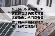 当下热门投资领域，如何选择合适的买卖项目实现盈利，热门投资领域下的买卖项目选择策略，如何实现盈利？
