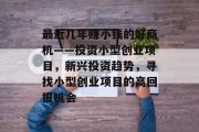 最近几年赚小钱的好商机——投资小型创业项目,新兴投资趋势,寻找小型创业项目的高回报机会