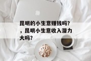 昆明的小生意赚钱吗?,昆明小生意收入潜力大吗? 昆明的小生意赚钱吗?,昆明小生意收入潜力大吗?