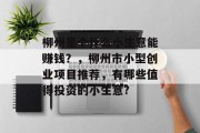 柳州是个什么小生意能赚钱?,柳州市小型创业项目推荐,有哪些值得投资的小生意? 柳州是个什么小生意能赚钱?,柳州市小型创业项目推荐,有哪些值得投资的小生意?