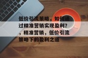 低价引流策略,如何通过精准营销实现盈利?,精准营销,低价引流策略下的盈利之道 低价引流策略,如何通过精准营销实现盈利?,精准营销,低价引流策略下的盈利之道
