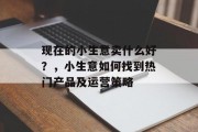 现在的小生意卖什么好?,小生意如何找到热门产品及运营策略 现在的小生意卖什么好?,小生意如何找到热门产品及运营策略