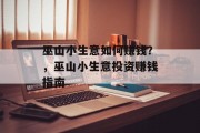 巫山小生意如何赚钱?,巫山小生意投资赚钱指南