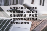 农村富人如何通过创新与智慧赚钱,探索农村经济的新机遇,农村富人创新智慧驱动下的经济探索与新机遇
