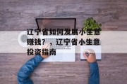 辽宁省如何发展小生意赚钱?,辽宁省小生意投资指南