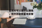 在农村可以做什么赚钱,农村创业致富项目推荐 在农村可以做什么赚钱,农村创业致富项目推荐