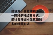 建设湖小生意赚钱多——探讨多种经营方式，探讨各种湖小生意赚钱多的经营方式