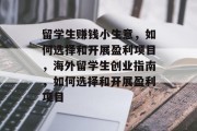 留学生赚钱小生意,如何选择和开展盈利项目,海外留学生创业指南,如何选择和开展盈利项目