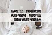 新房行业,如何赚钱的机遇与策略,新房行业,赚钱的机遇与策略分析