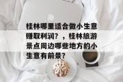 桂林哪里适合做小生意赚取利润？，桂林旅游景点周边哪些地方的小生意有前景？