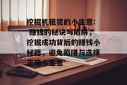 挖掘机租赁的小生意: 赚钱的秘诀与陷阱,挖掘成功背后的赚钱小秘籍,避免陷阱与选择正确小生意