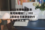 2022年哪些小生意有可能赚钱？，2022年适合小本创业的行业与商机汇总