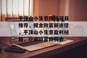 平顶山小生意赚钱项目推荐,掘金致富新途径,平顶山小生意盈利秘籍,挖掘致富新机会