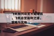 飞机如何运营才能赚钱，飞机运营盈利之道，策略与实施
