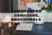 日本赚钱的小生意推荐，日本新兴创业商机，赚取高利润的赚钱小生意推荐