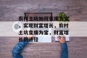 农村土坑如何变废为宝，实现财富增长，农村土坑变废为宝，财富增长新途径