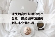 潼关的商机与适合的小生意,潼关城市发展规划与小企业机遇