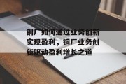 铜厂如何通过业务创新实现盈利，铜厂业务创新驱动盈利增长之道