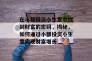 在小额投资小生意中找到财富的密码，揭秘，如何通过小额投资小生意实现财富增长