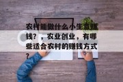 农村能做什么小生意赚钱?,农业创业,有哪些适合农村的赚钱方式? 农村能做什么小生意赚钱?,农业创业,有哪些适合农村的赚钱方式?