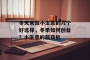 冬天来做小生意的几个好选择,冬季如何创业?小生意的新商机 冬天来做小生意的几个好选择,冬季如何创业?小生意的新商机