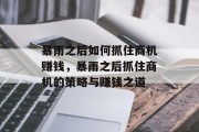 暴雨之后如何抓住商机赚钱,暴雨之后抓住商机的策略与赚钱之道