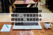宁安投资哪些小项目好赚钱?,宁安投资什么赚钱快速、有前景的小项目推荐
