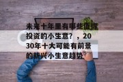 未来十年里有哪些值得投资的小生意?,2030年十大可能有前景的新兴小生意趋势 未来十年里有哪些值得投资的小生意?,2030年十大可能有前景的新兴小生意趋势