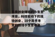 另类创业赚钱的小生意项目，科技驱动下的独特创业，10个异乎寻常的赚钱小生意项目