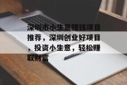 深圳市小生意赚钱项目推荐，深圳创业好项目，投资小生意，轻松赚取财富