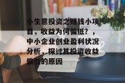 小生意投资之赚钱小项目,收益为何偏低?,中小企业创业盈利状况分析,探讨其投资收益偏低的原因 小生意投资之赚钱小项目,收益为何偏低?,中小企业创业盈利状况分析,探讨其投资收益偏低的原因