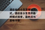 酒店业的小生意赚钱方式,酒店业小生意的盈利模式探索,盈利点与策略分享