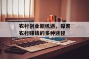 农村创业新机遇,探索农村赚钱的多种途径 农村创业新机遇,探索农村赚钱的多种途径