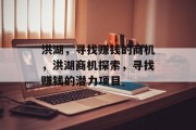 洪湖,寻找赚钱的商机,洪湖商机探索,寻找赚钱的潜力项目