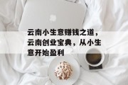 云南小生意赚钱之道,云南创业宝典,从小生意开始盈利 云南小生意赚钱之道,云南创业宝典,从小生意开始盈利
