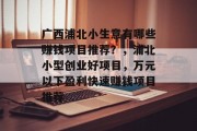 广西浦北小生意有哪些赚钱项目推荐?,浦北小型创业好项目,万元以下盈利快速赚钱项目推荐