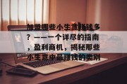 加盟哪些小生意赚钱多?——一个详尽的指南,盈利商机,揭秘那些小生意中最赚钱的类别 加盟哪些小生意赚钱多?——一个详尽的指南,盈利商机,揭秘那些小生意中最赚钱的类别