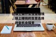 在镇上做什么生意赚钱,镇上赚钱的生意选择,创业机会探索 在镇上做什么生意赚钱,镇上赚钱的生意选择,创业机会探索