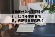 商场里什么小生意赚钱?,15个小本创业项目,商场销售帮你轻松赚钱