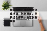 如何选择一种小生意创业项目，创新视角，寻找适合你的小生意创业项目