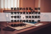 开启你的小生意,如何在当今快速发展的市场中赚钱?,快速发展的市场中的赚钱策略,创业的小技巧 开启你的小生意,如何在当今快速发展的市场中赚钱?,快速发展的市场中的赚钱策略,创业的小技巧
