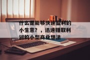 什么是能够快速盈利的小生意?,迅速赚取利润的小型商业想法 什么是能够快速盈利的小生意?,迅速赚取利润的小型商业想法